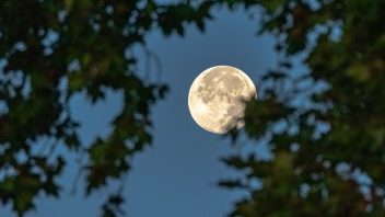 istock-1348067386-352x198.jpg